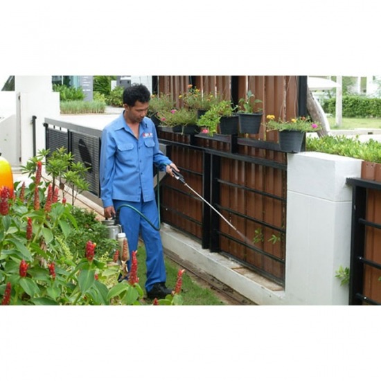 บริษัทกำจัดปลวกชลบุรี เมเจอร์ ไมเนอร์ - บริษัทฉีดปลวกพัทยา ชลบุรี